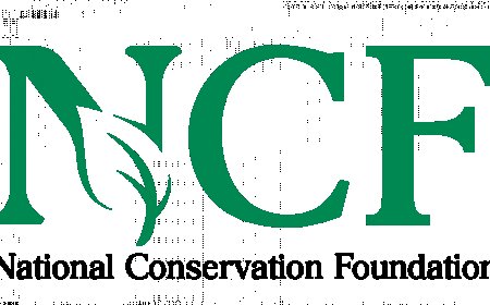 NCF, partners unveil initiative to combat deforestation