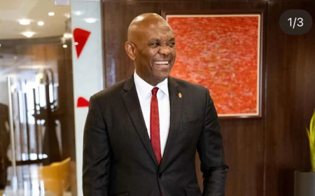 Tony Elumelu cancels annual All-White Party to honour six workers killed in Lagos fire