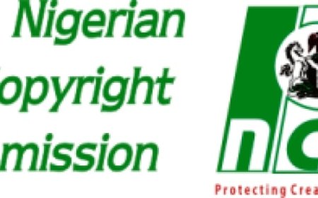 NCC seeks inclusion of intellectual property studies in varsity curricula