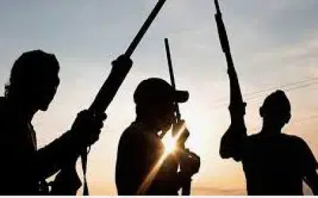 Unknown gunmen kidnap five Rivers varsity students