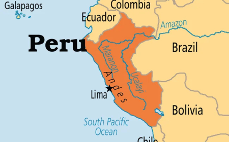 Peru presidential hopeful survives gun attack