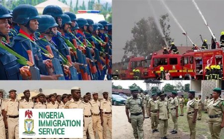 CDCFIB provides updates on recruitment portal opening for verification