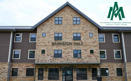 University of Arkansas Monticello Scholarship in USA 2026 | Fully Funded