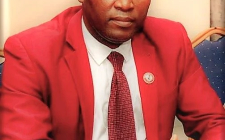 Edo NDLEA arrested 44 suspects in November – Official