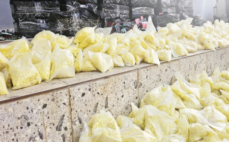 Bauchi police arrest drug dealer, recover narcotics