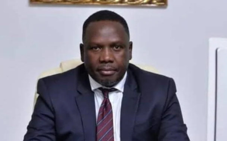 Why it’s hard tracking bandits with technology — Presidential aide