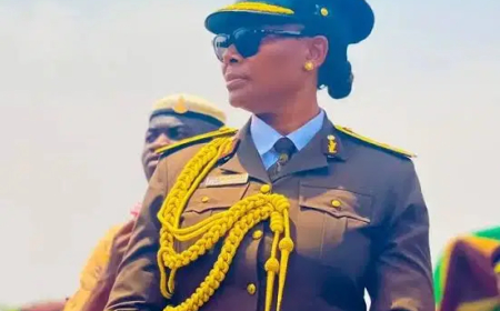 Passports: ‘Avoid louts, we’re available 24/7’ – Immigration CG tells Nigerians