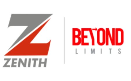 Zenith Insurance Entry Level Program 2025 | How To Apply