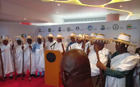 Progressive Govs Forum passes vote of confidence on Tinubu