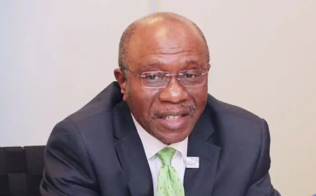 Emefiele denies terrorism financing allegation