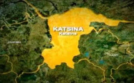 Four Katsina communities protest six-month blackout