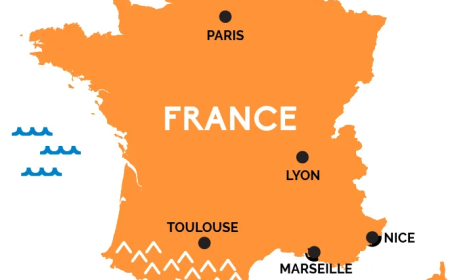 France to return smuggled dinosaur skeleton to Mongolia