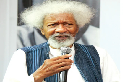 Soyinka decries Seyi Tinubu’s ‘excessive’ security escort