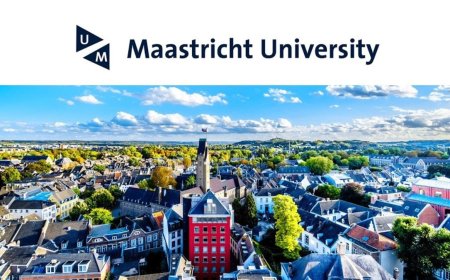 2026 UM Global Studies Scholarship in Netherland For Undergraduates | Fully Funded