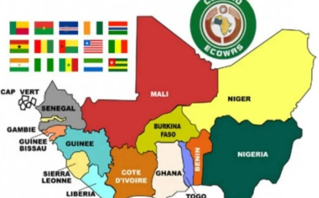 ECOWAS warns of global power contestations, AI threat