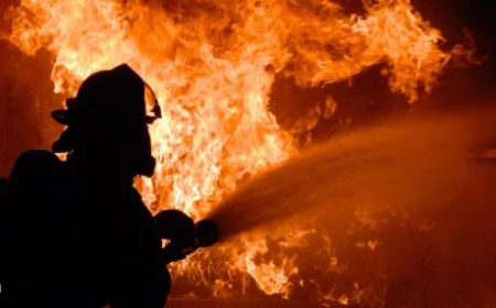 Fire kills 12 in South China residential building