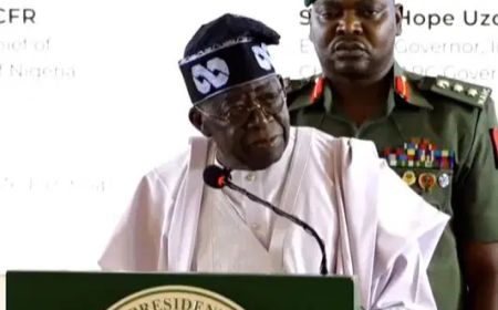 Insecurity: Tinubu approves firearms for Forest Guards to tackle banditry