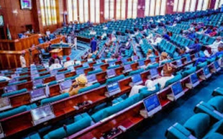 Reps seek cut in airfares ahead of Yuletide