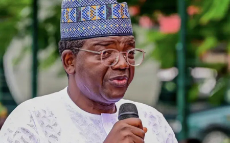 I made you governor,’ Senator Marafa mocks Matawalle