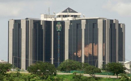 CBN sets one-month deadline for dual PoS connectivity