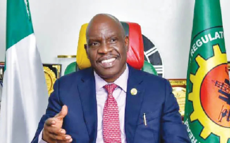 FG targets 100,000 jobs from gas flare programme