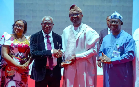 Nigeria’s rising despite challenges, says Interior minister