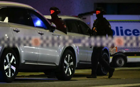 Father, son behind shooting that killed 15 in Australia