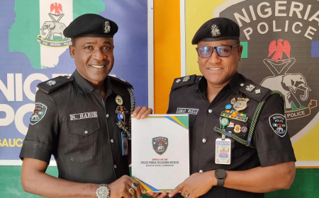 Bauchi police command gets new spokesperson