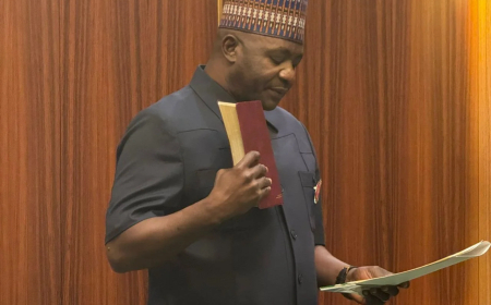 No single service can tackle Nigeria’s insecurity alone – Defence minister