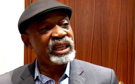 ₦2.2bn fraud: Court fixes December 18 for Ngige’s bail ruling