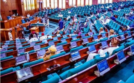 Reps begin probe into Nigeria’s drug abuse rate