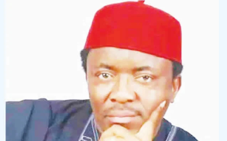 Legislator warns against disbanding Imo Tiger Base police unit