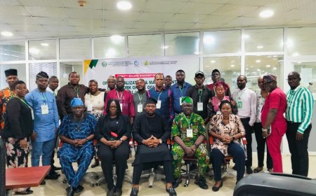 OGSTEP Advances Responsible Agricultural Land Governance through FRILIA Workshop