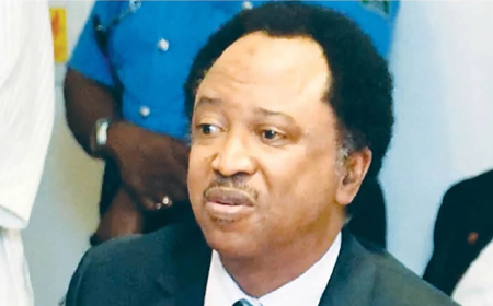 US visa restrictions: Shehu Sani urges Nigerians to focus on rebuilding Nigeria