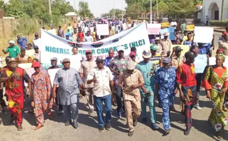 Insecurity: NLC observes peaceful protest in Adamawa
