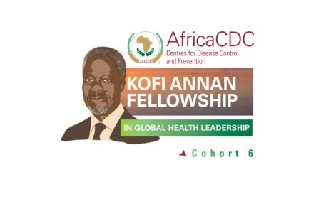 Kofi Annan Global Health Leadership Program For Africans (Fully Funded)