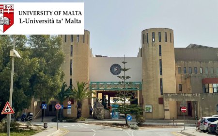 2026 University of Malta Scholarships For International Students | How to Apply