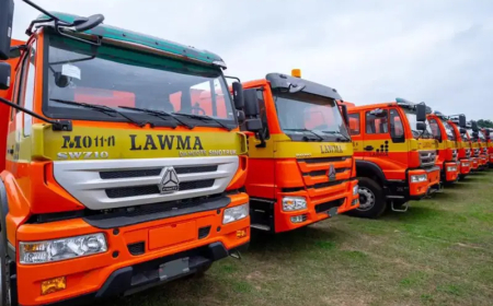 Female LAWMA sweeper hit on duty, dies 