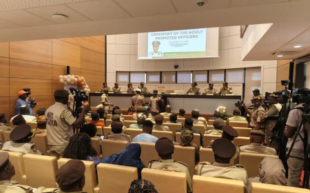 Insecurity: FG charges senior Immigration officers on vigilance