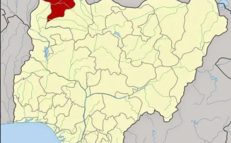 Bride, bridesmaids still held 24 days after Chacho village abduction in Sokoto