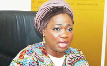 How Sanwo-Olu, Seyi Tinubu, others raised $570,000 for Saudi death row – NIDCOM