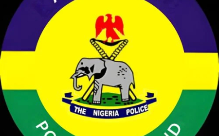 EXPLAINER: What airport police command does for travelers in Nigeria