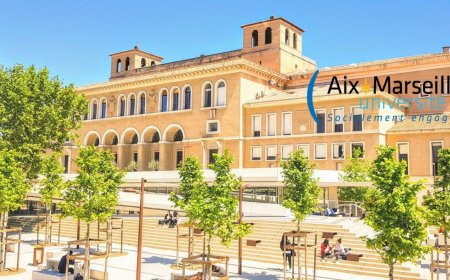 Aix-Marseille University Tiger Excellence Scholarships 2026 in France | Fully Funded