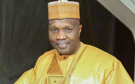 Assault on councillor: Group commends Gombe gov for sacking violent SSAs