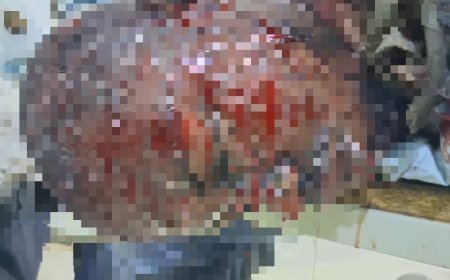 Boko Haram suicide bomber behind Borno mosque blast, army says