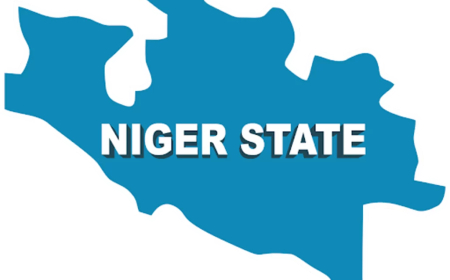 Niger: Police nab robbers, rescue kidnapped women, children