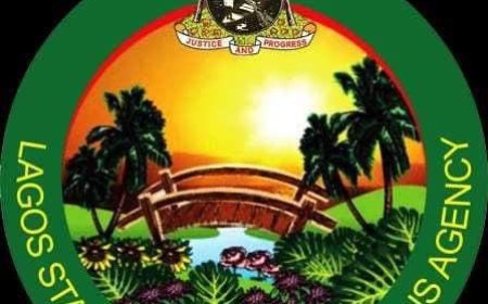 Yuletide: Lagos park grants three days free entry to residents, visitors