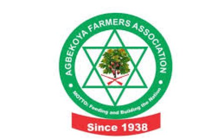 Agbekoya vows action over Oyo farmers’ killing
