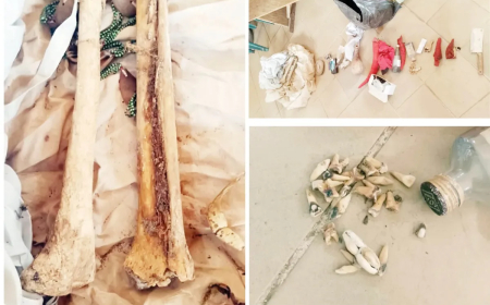 I convinced my relative to get human parts for fortune-making ritual, suspect admits