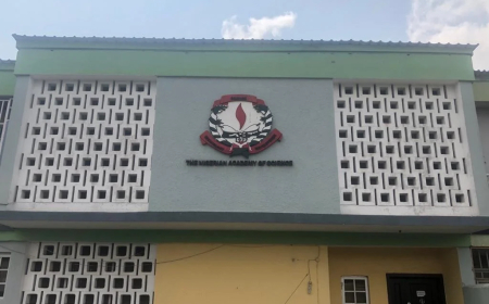 Migration of Nigerian scientists threatening research, development, academy warns